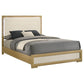 Hyland Wood Queen LED Panel Bed Natural and White