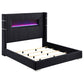 Tisdall Upholstered Queen Flame Visualizer Bed Black