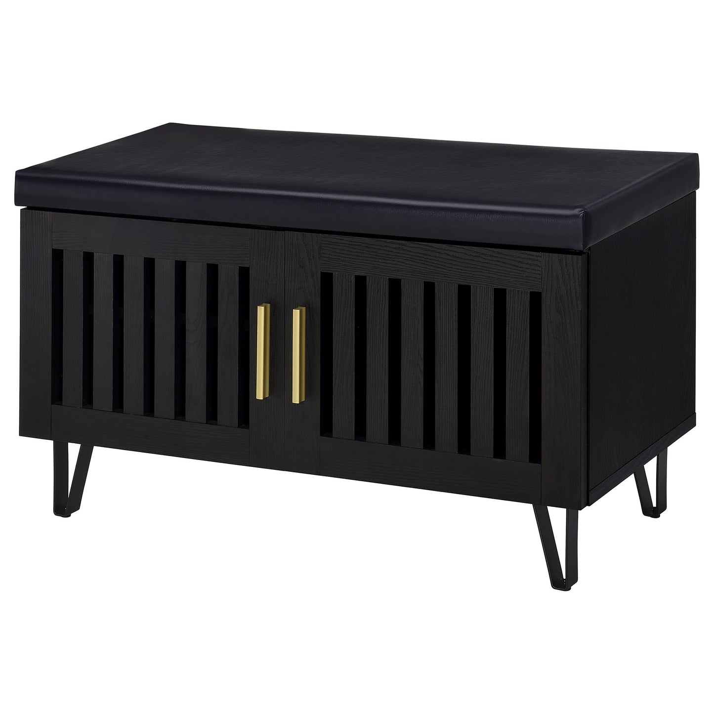 Brixton 2-door Padded Entryway Shoe Storage Bench Black