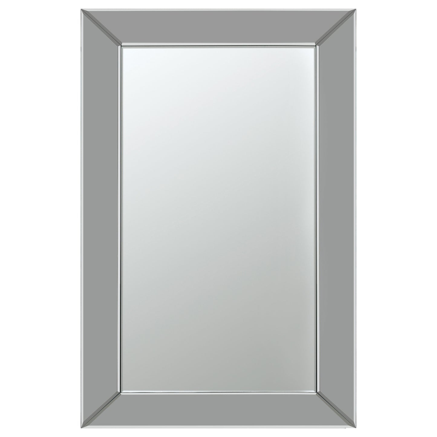 Pinciotti 36 x 24 Inch Beveled Frame Wall Mirror Silver